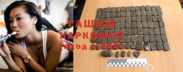 шишки Новодвинск