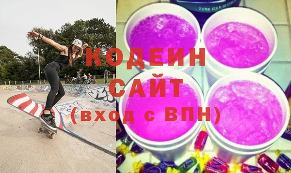 шишки Новодвинск