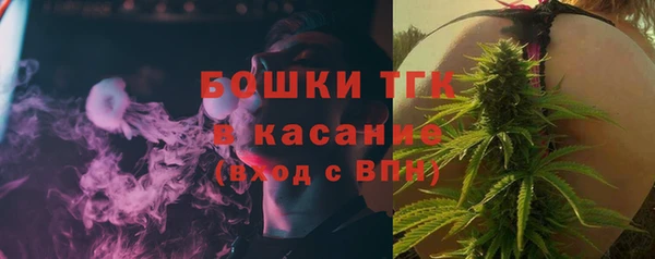 твердый Няндома