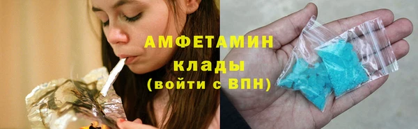 шишки Новодвинск
