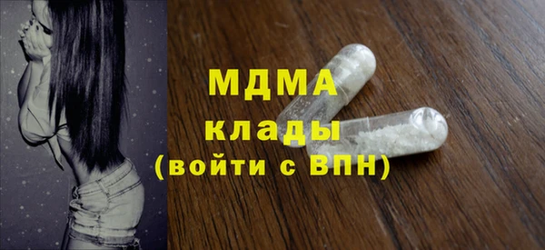 шишки Новодвинск