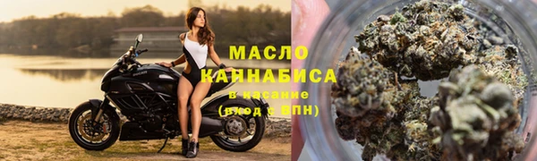 твердый Няндома