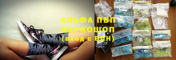 шишки Новодвинск