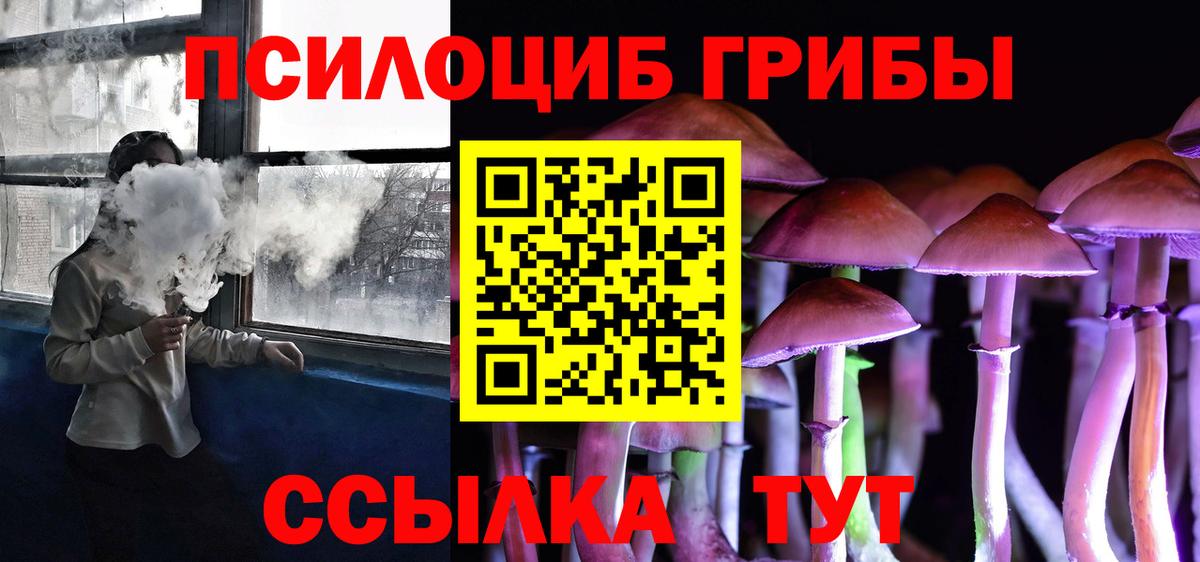 Псилоцибиновые грибы мицелий Абинск