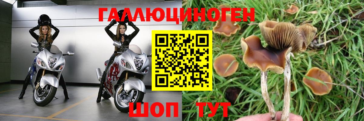 Галлюциногенные грибы мицелий Абинск