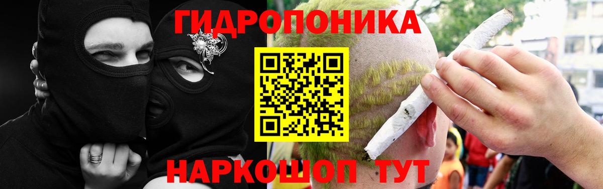 Конопля Bruce Banner  Каннабис конопля  Абинск 